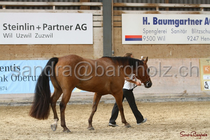 24-ApHC HIH_073.jpg